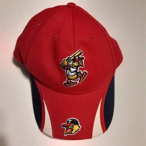 47 Brand Youth Toledo Mud Hen's Hat/Cap